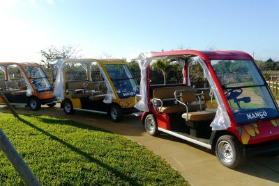 🍍 마이파리 미야코지마 열대과수원